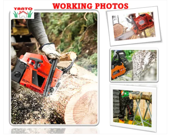 New Design Professional Heavy Duty Gasoline Chainsaw Wood Cutting Machine Electric Garden Tools