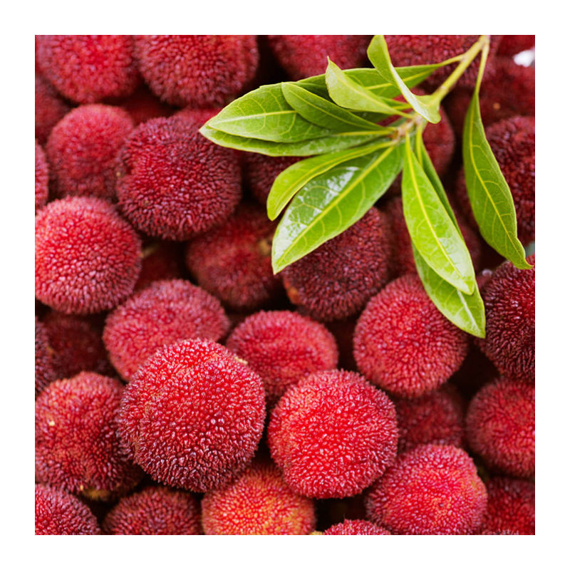 5kg Red Bayberry Orchard Harvested Fruit, Cold Pack For Storage & Transportation